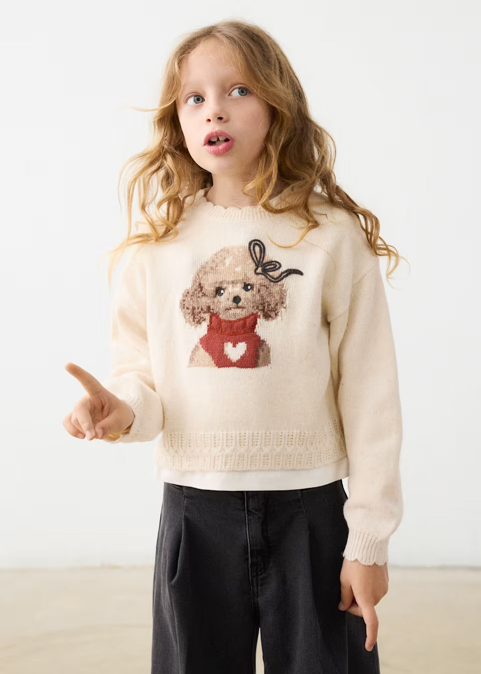 Jersey perro