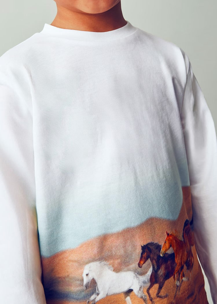 Camiseta caballos manga larga