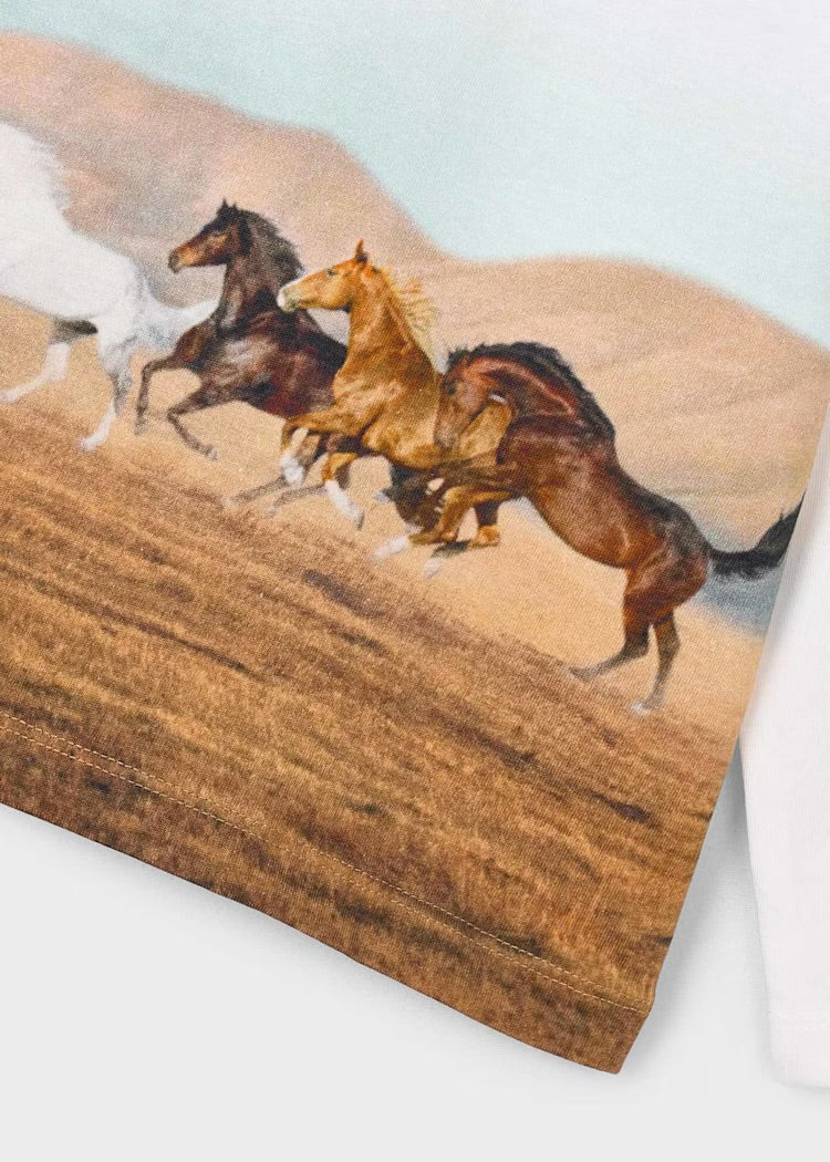 Camiseta caballos manga larga