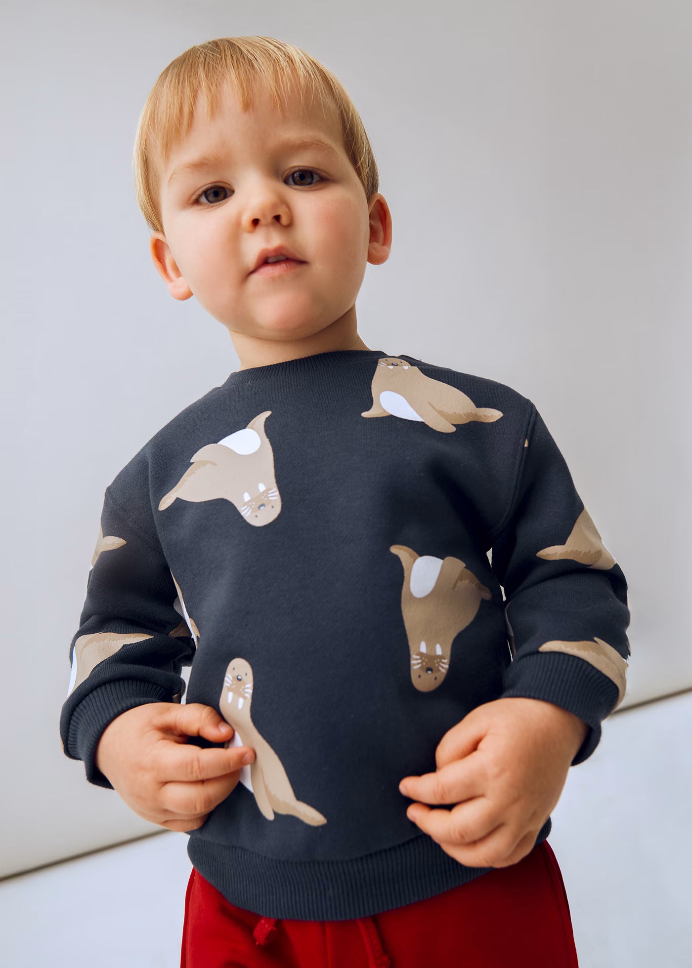 Pullover estampado